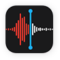 Mémo Vocal