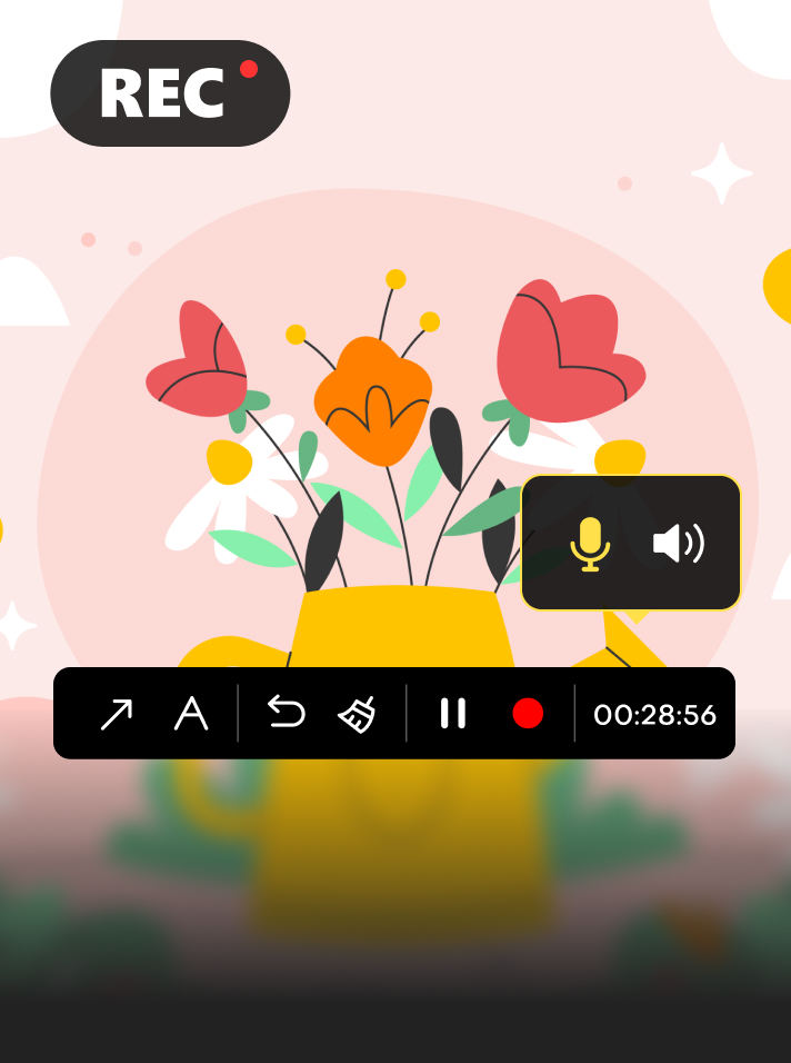 Multimedia Bundle Screen Recorder