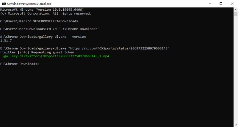 Gallery-dl Command Lines