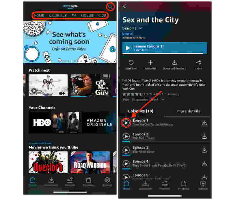 Download Video from Prime Video