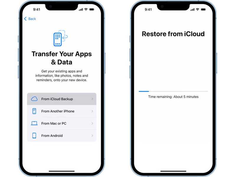 Restore iCloud Backup