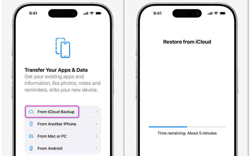 Recover Deleted Messages from iCloud Backup to iPad