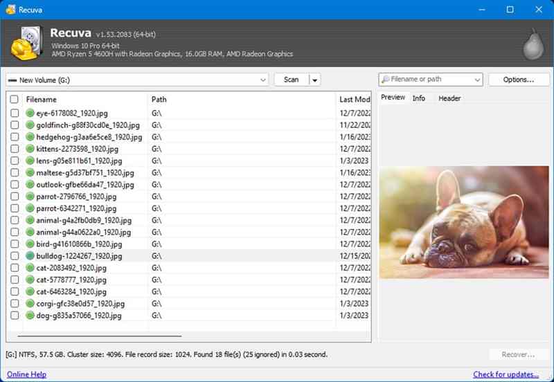 Recuva képernyőkép