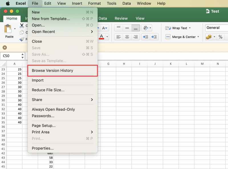Durchsuchen Sie den Versionsverlauf