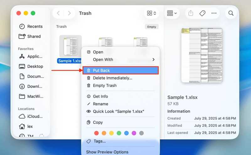 Excel-Papierkorb wiederherstellen