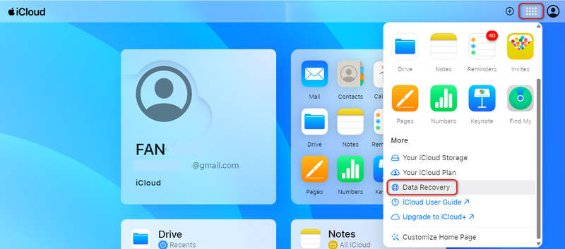 iCloud 中的数据恢复功能