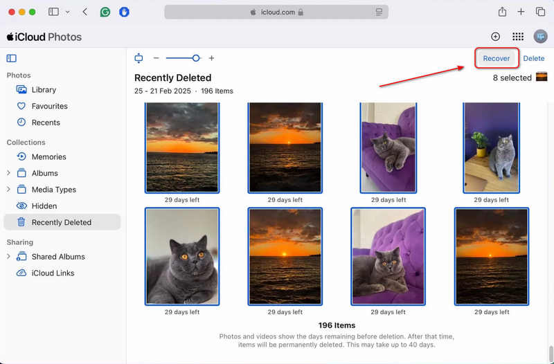 在线 iCloud 中恢复已删除的照片