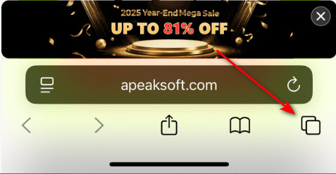 Schede Cronologia Safari