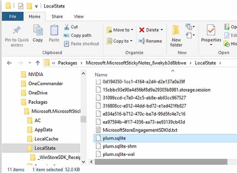 Find Plum File