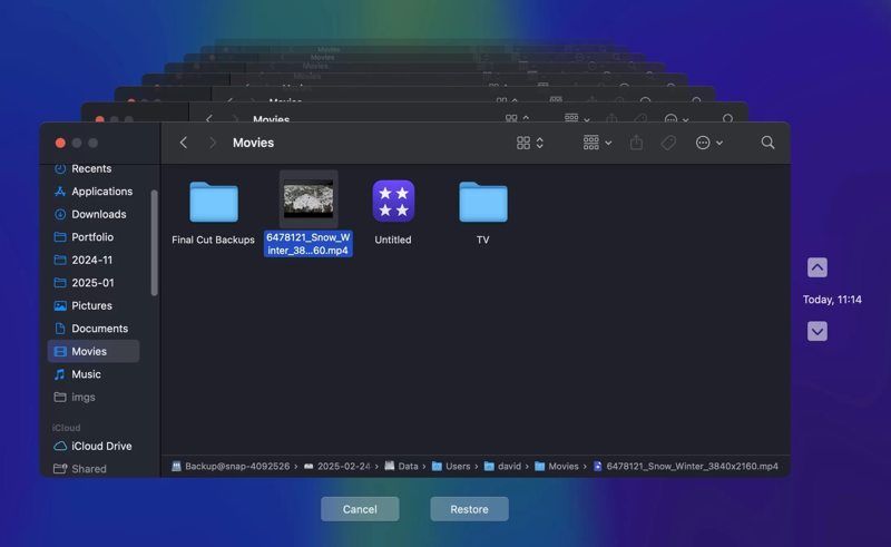 Restore Video Time Machine