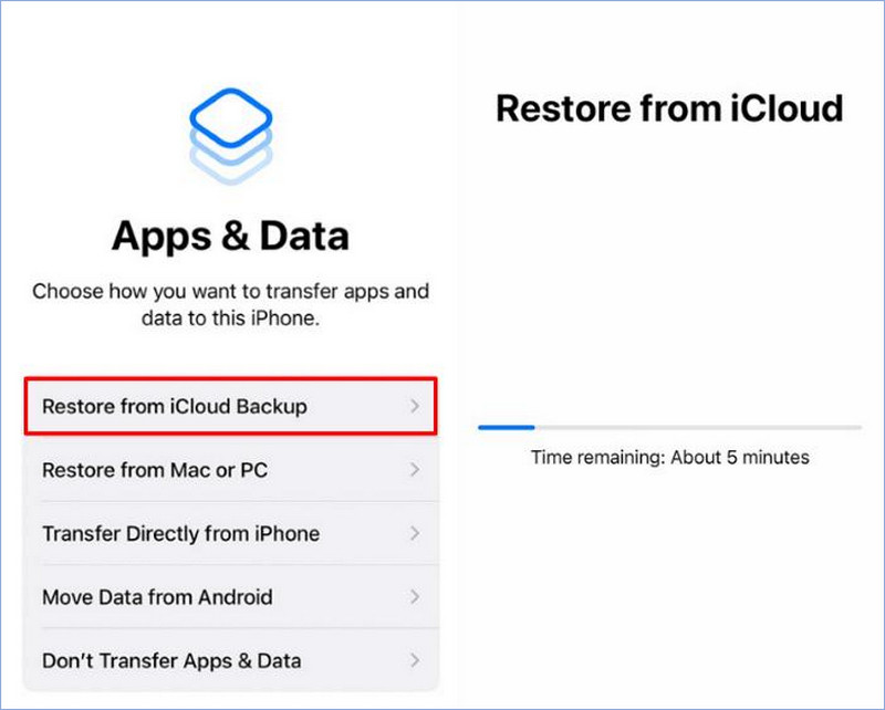 Restore Apps from iCloud Backup