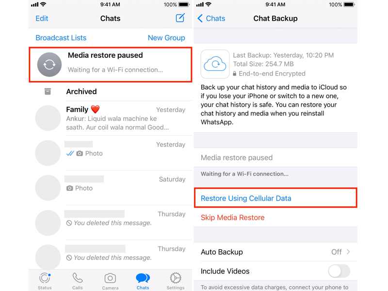 Restore WhatsApp Cellular