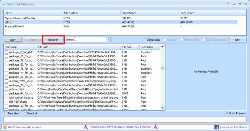 Puran Bestandsherstel