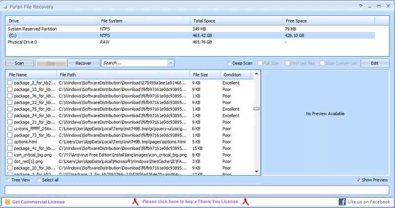 Interface de récupération vidéo de Puran File Recovery
