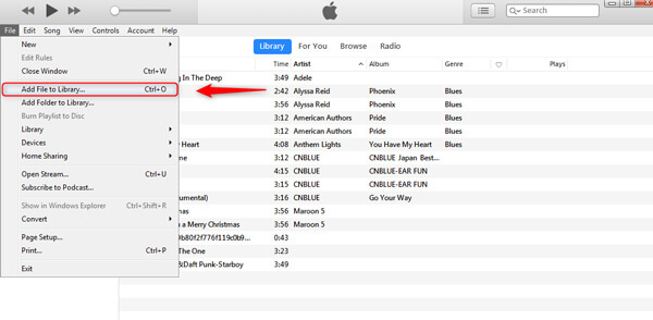 Add Music to iTunes