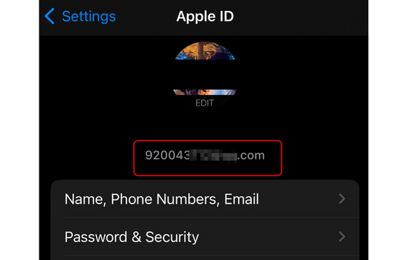 设置中的 Apple ID