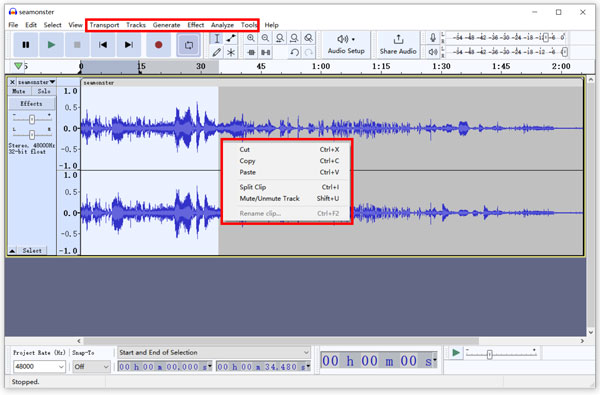 Audacity Modifica traccia audio