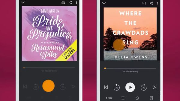 Audible AudioBook Player