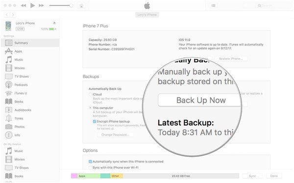 Faça o backup do iPhone com o iTunes