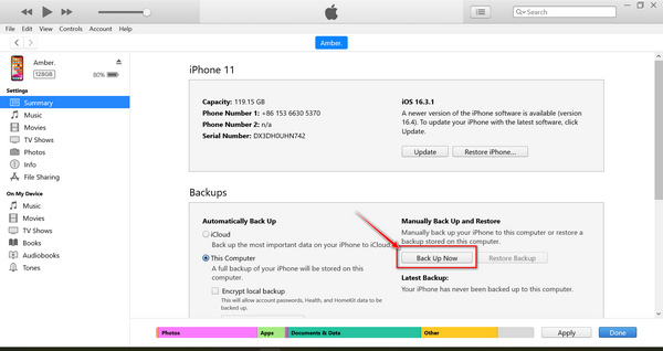 Eseguire il backup dell'iPhone tramite iTunes