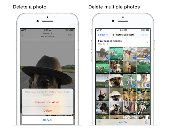 Delete Multiple Photos