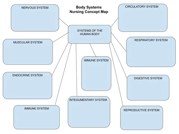 Körper System