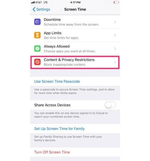 Check iPhone Restrictions