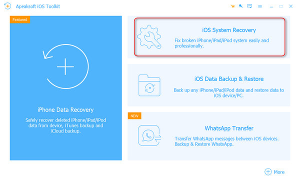 iOS-Systemwiederherstellung