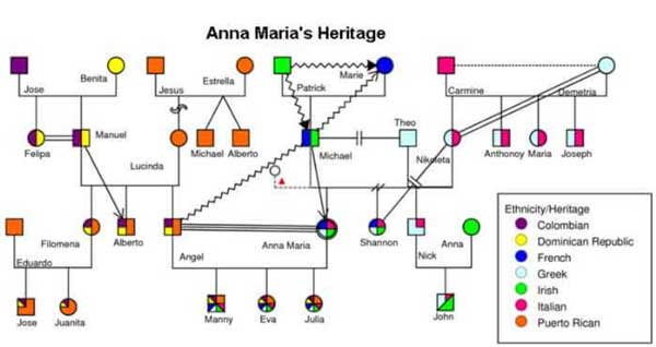 Ejemplos de genogramas culturales