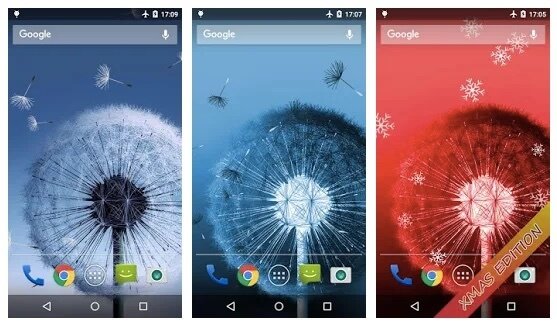 Dandelion Live Wallpaper