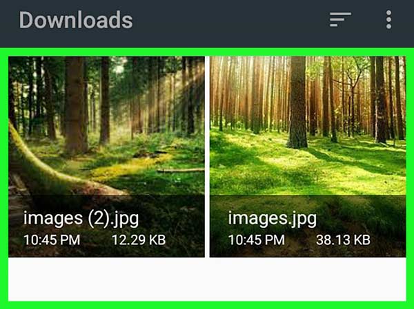 Löschen Sie Downloads auf Android