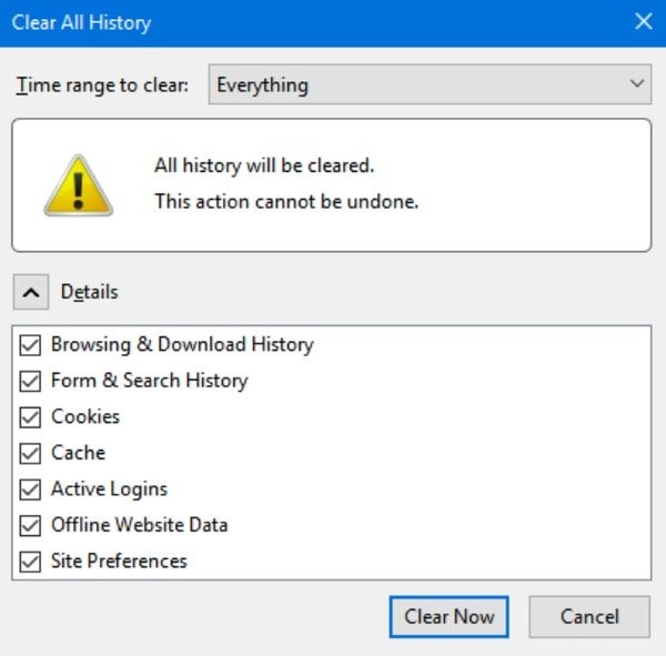 Delete Download History in Firefox