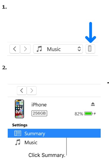 Resumo do dispositivo Restaurar iPhone