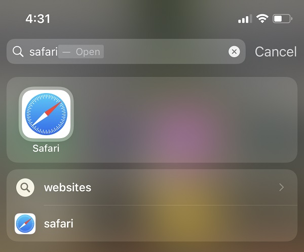 Safari de recherche iPhone