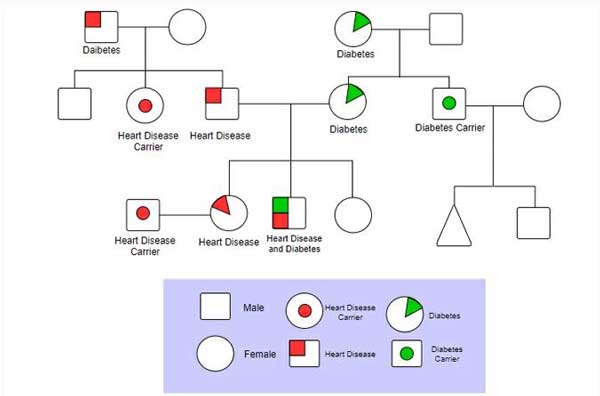 Voorbeeld van een medisch genogram