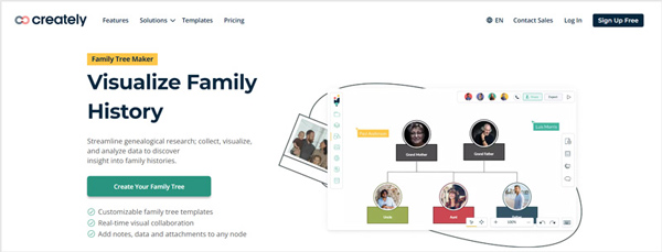 Создатель семейного древа онлайн Creately