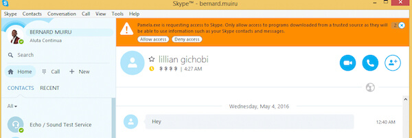 Pamela訪問Skype