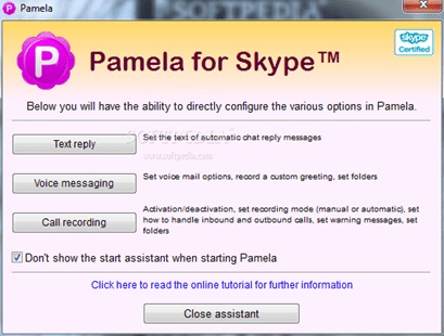 Pamela für Skype
