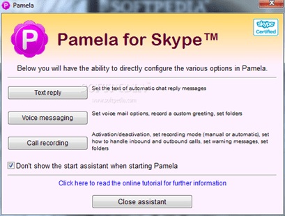 Pamela na Skype