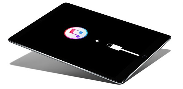 Versetzen Sie das iPad in den Wiederherstellungsmodus
