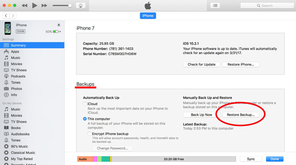 Återställ raderad historia Safari iPhone från iTunes