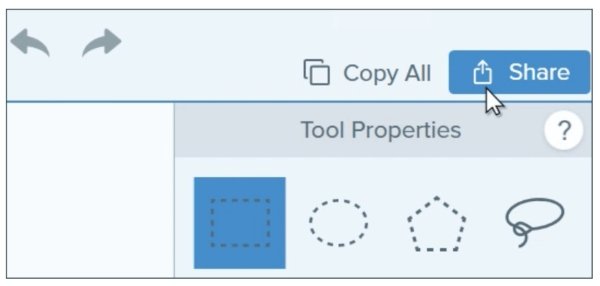 Dela skärminspelning Snagit