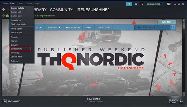 Screenshot služby Steam