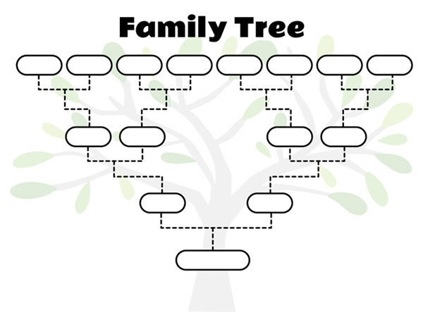 Cos'è l'albero genealogico