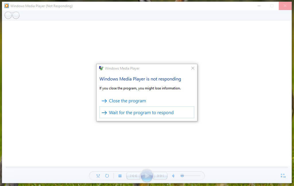 Windows Media Player not responding