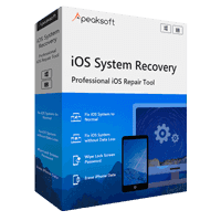 Caja de recuperación del sistema iOS
