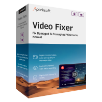 Video Fixer