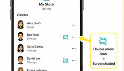 See Who Screenshotted Your Public Story