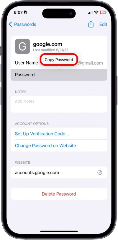 Stellen Sie sicher, dass das E-Mail-Passwort korrekt ist