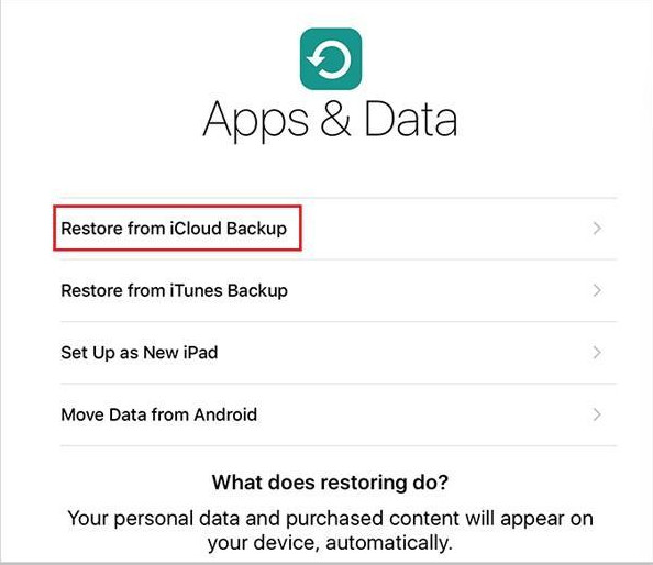 Återställ från Icloud Backup
